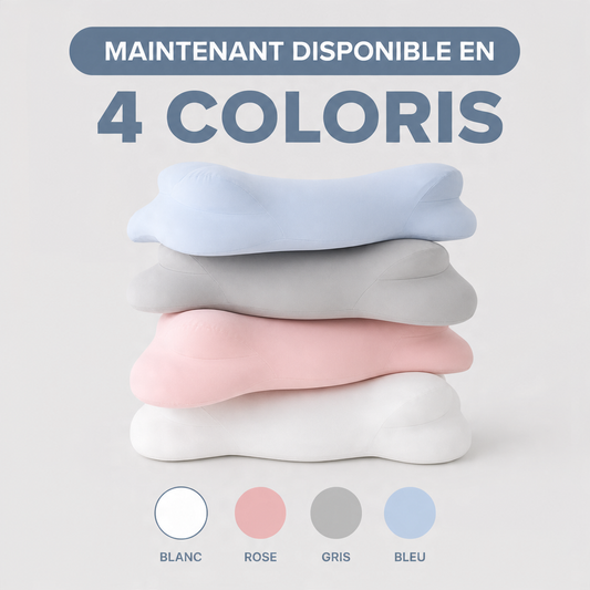 Housse d’Oreiller Nuage Ergodream